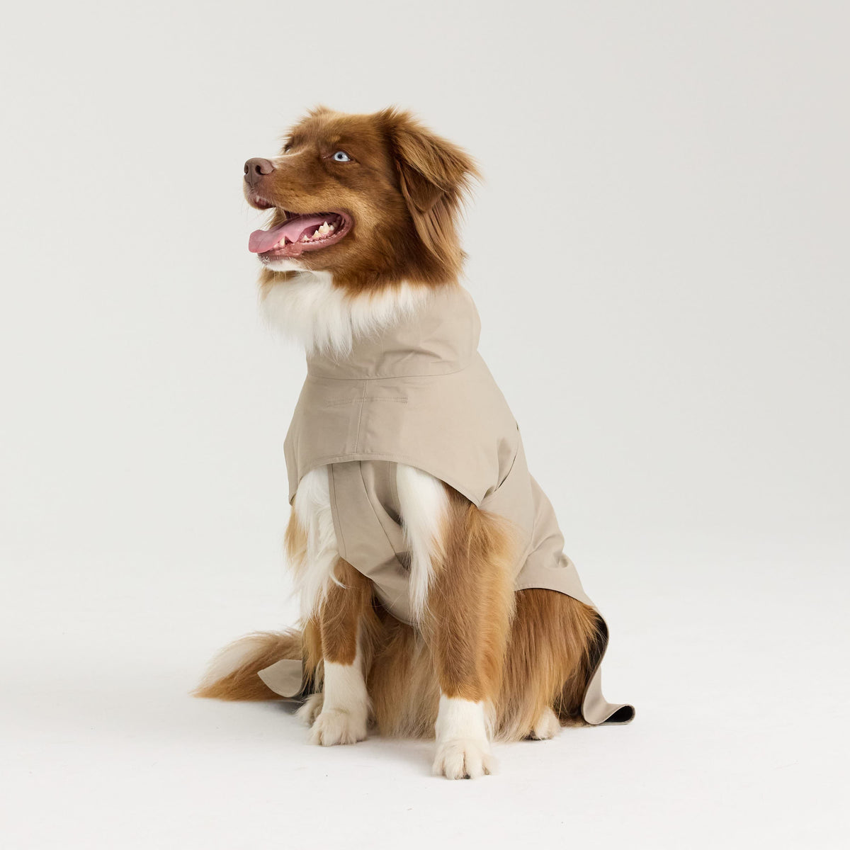 William Walker Imperméable pour chien Harbour