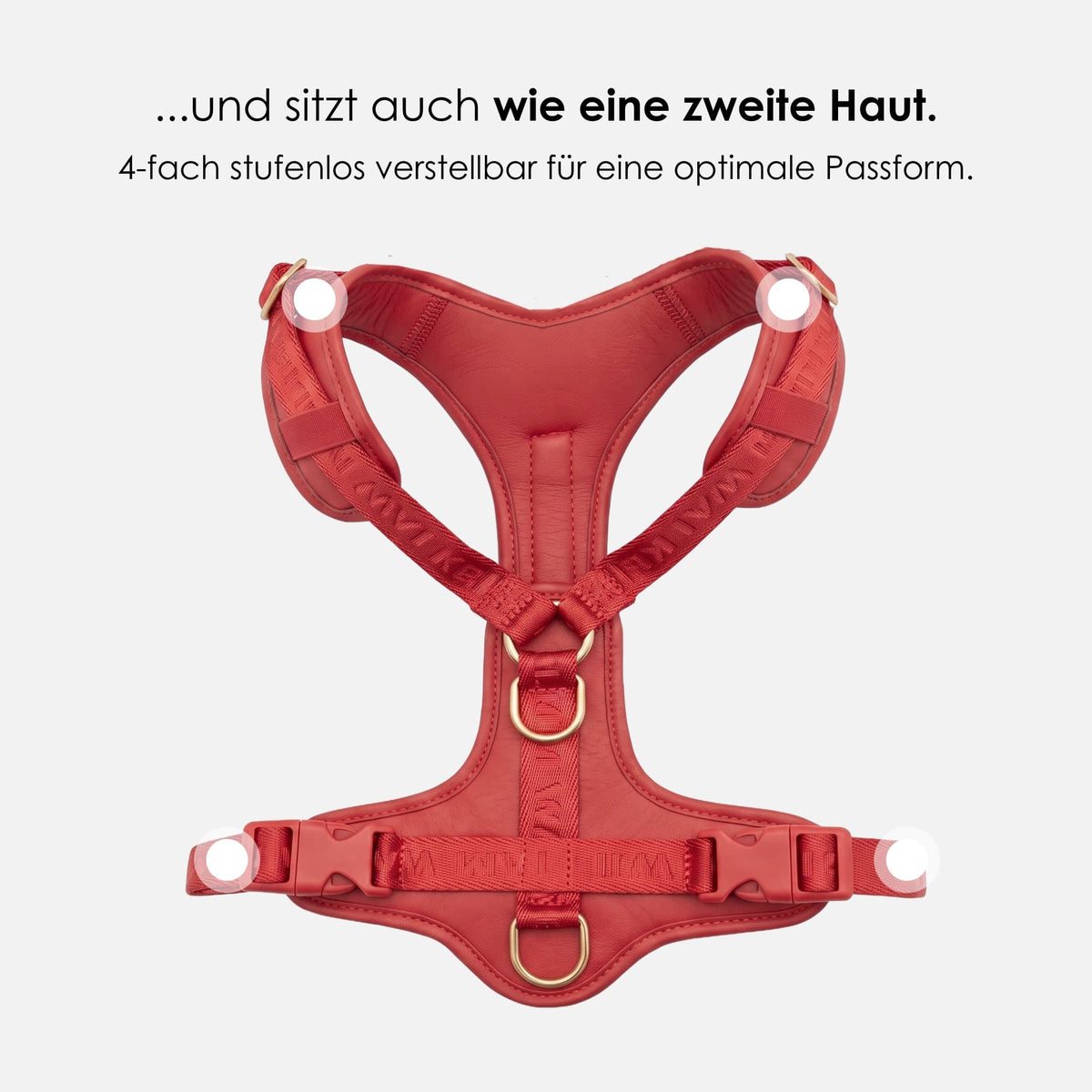 William Walker Premium Leather Y-Harness Plain