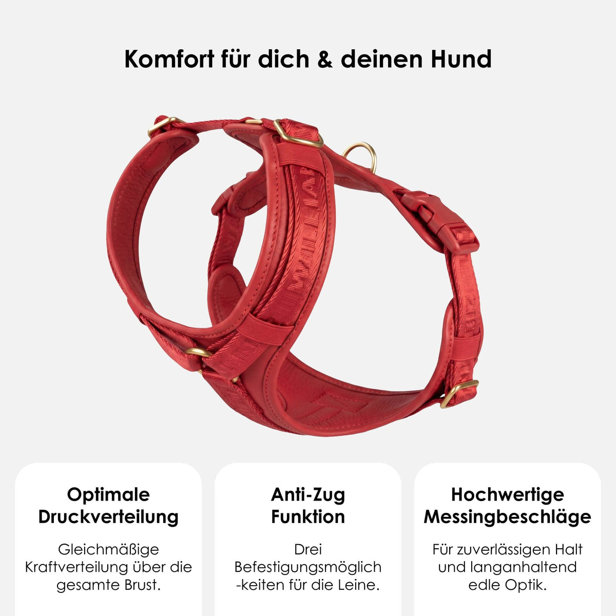 William Walker Premium Leather Y-Harness Plain