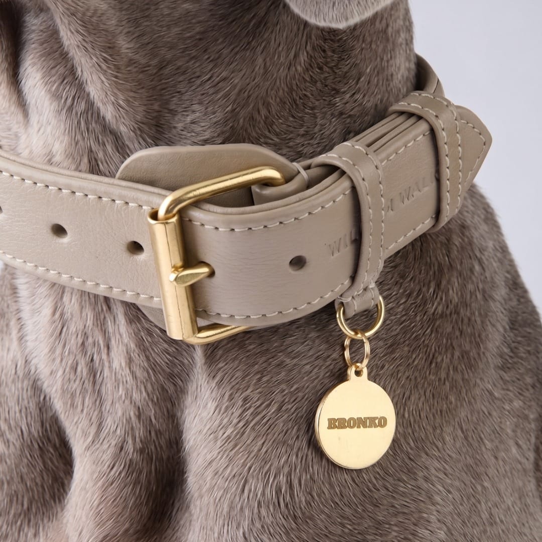 William Walker Médaille pour chien en laiton