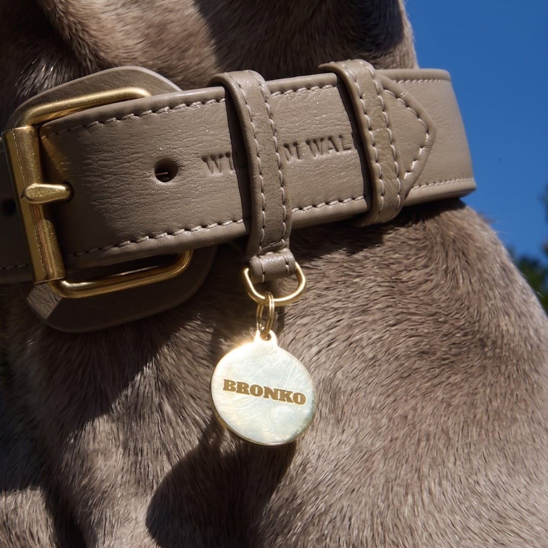 William Walker Médaille pour chien en laiton
