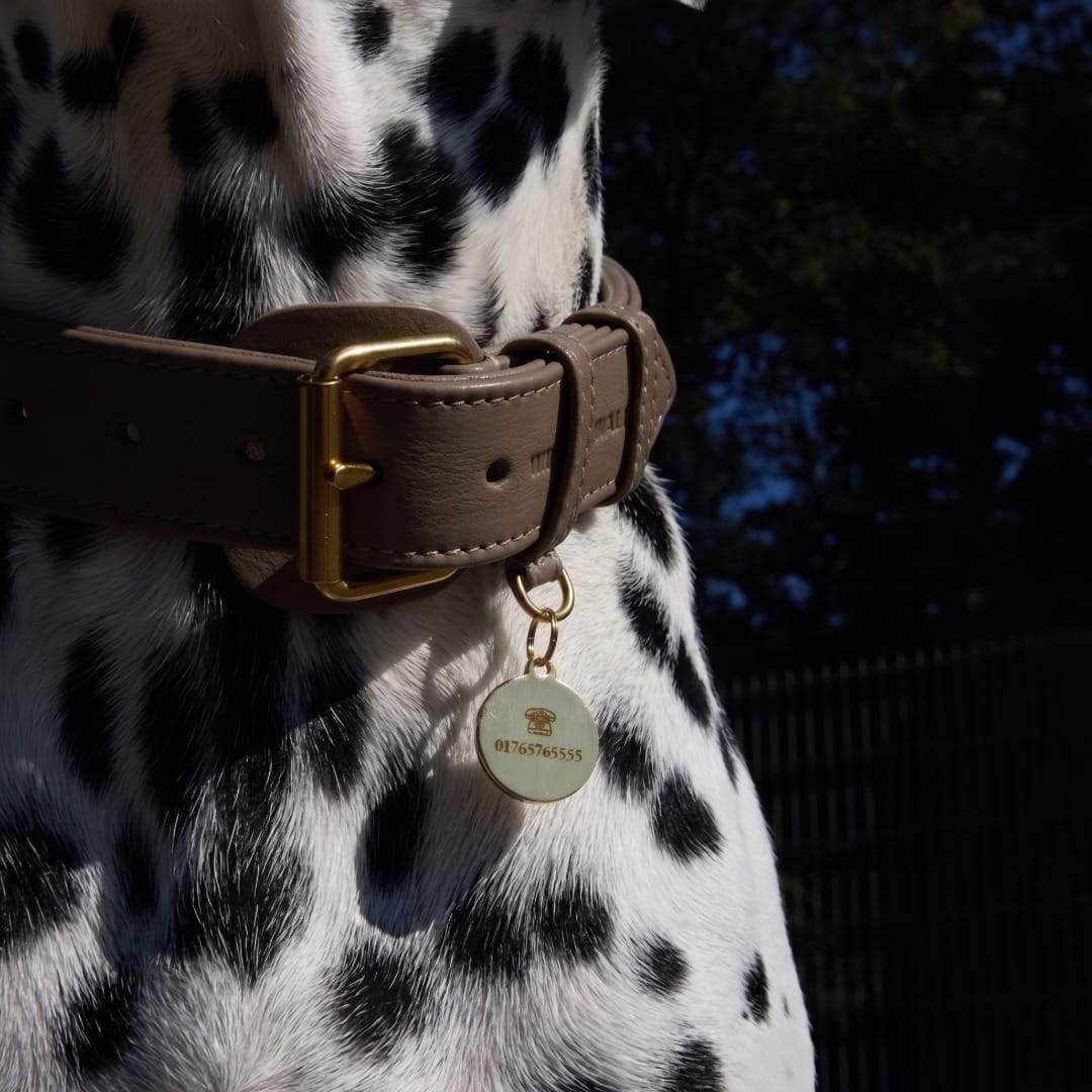 William Walker Médaille pour chien en laiton