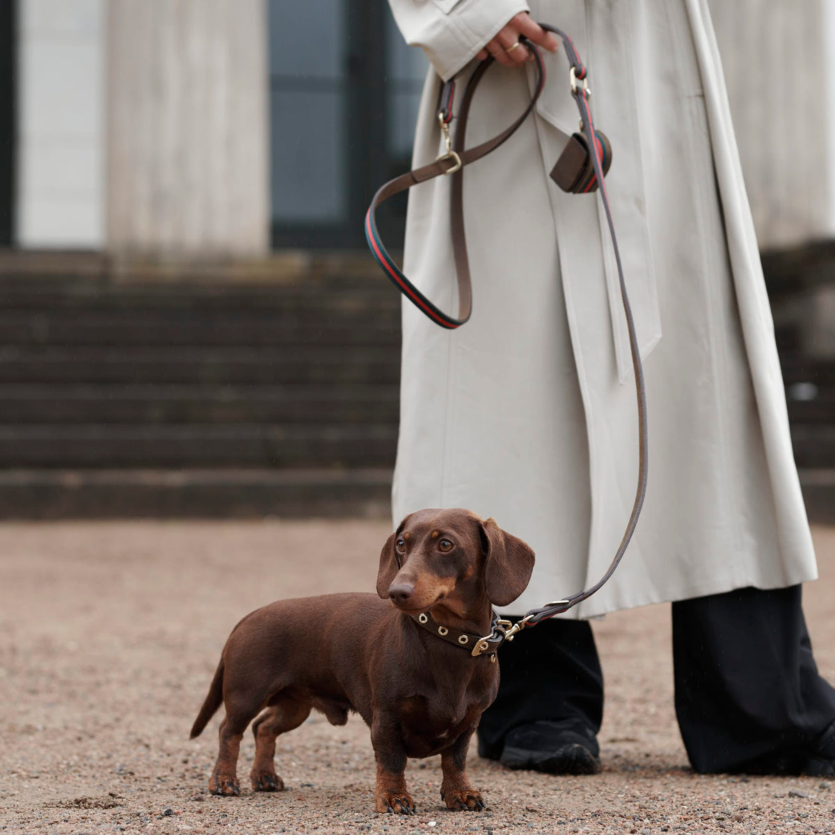 William Walker Leren halsband Florence // Limited