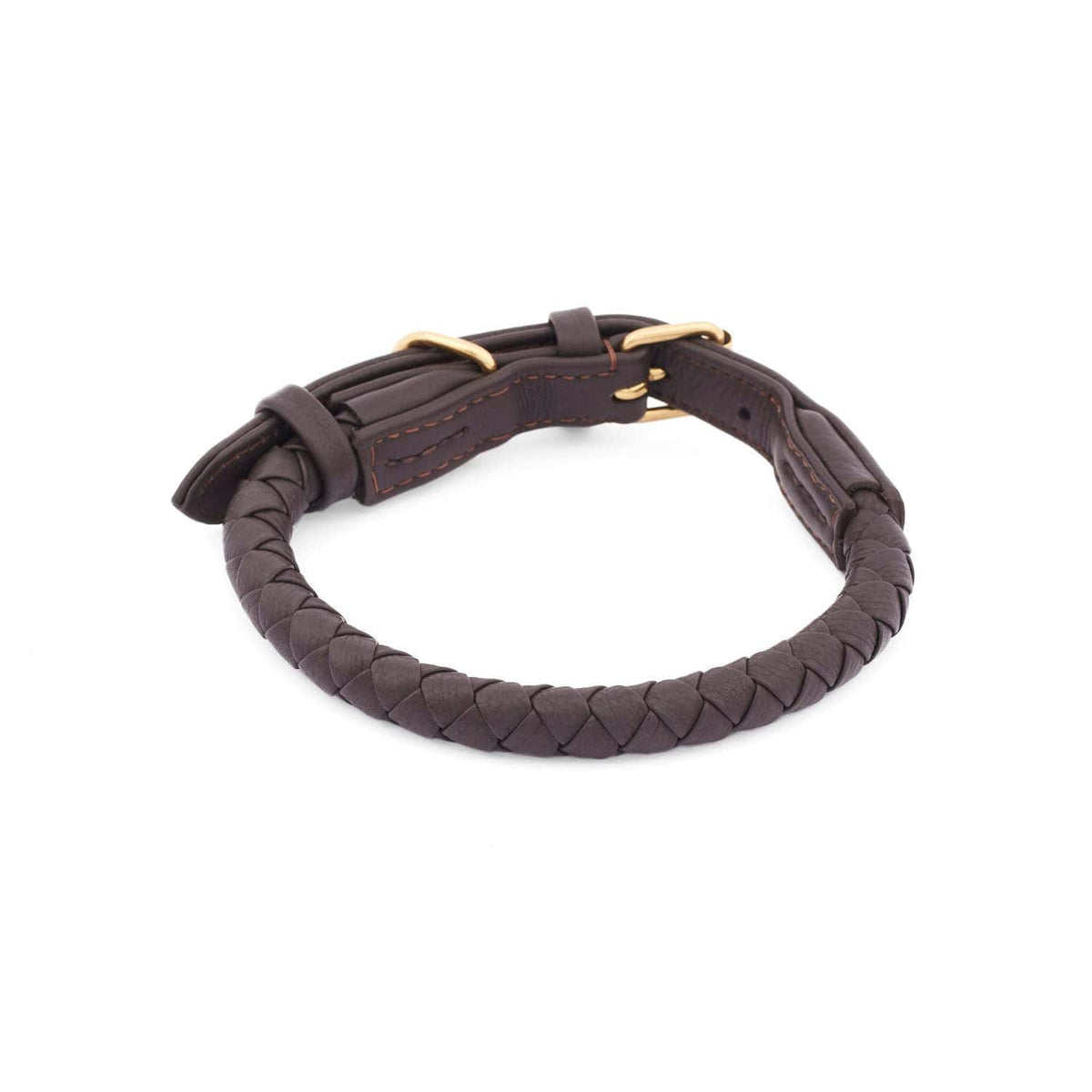 William Walker Dog collar Twisted Earth
