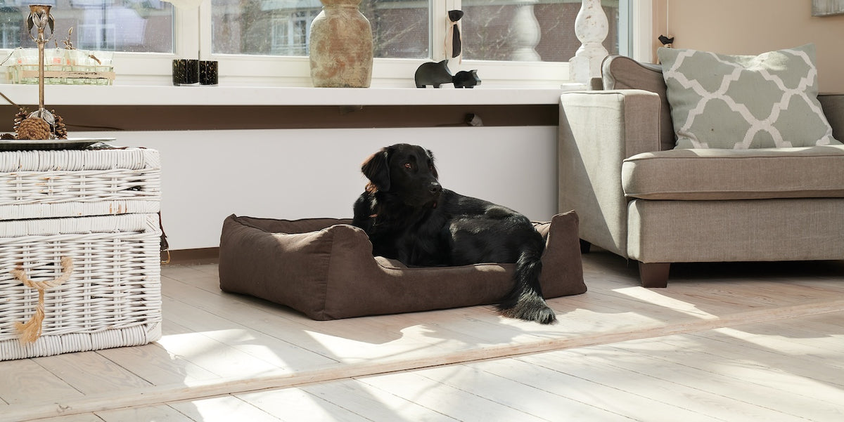 Orthopädische Hundebetten