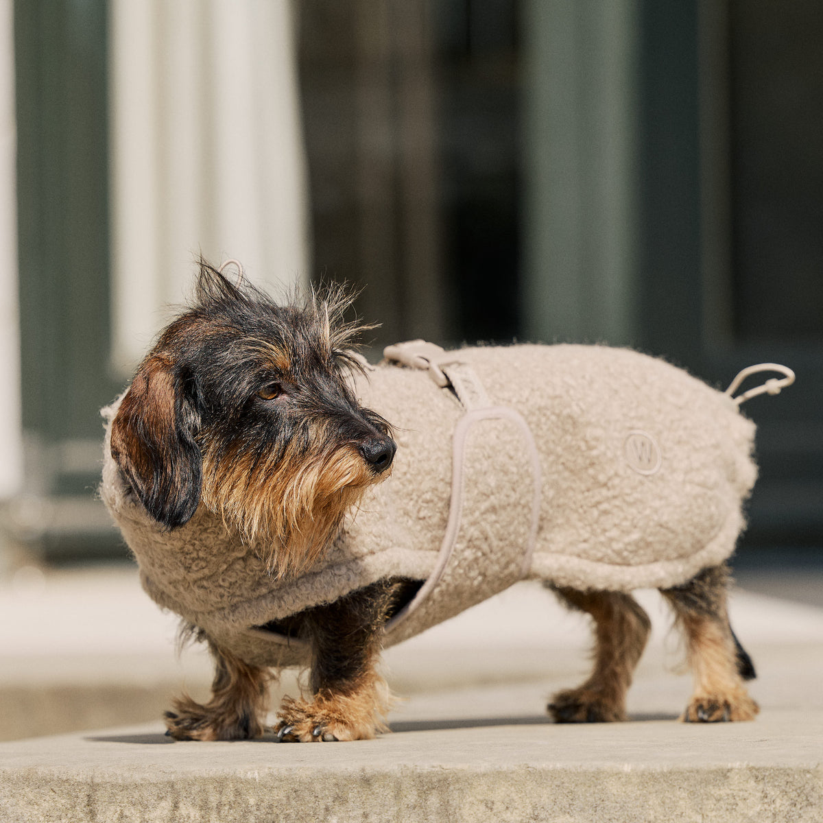 William Walker Knusse fleece hondenjas Cozy voor teckels Sand / 2