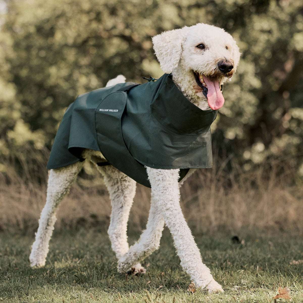 William Walker Imperméable pour chien Harbour