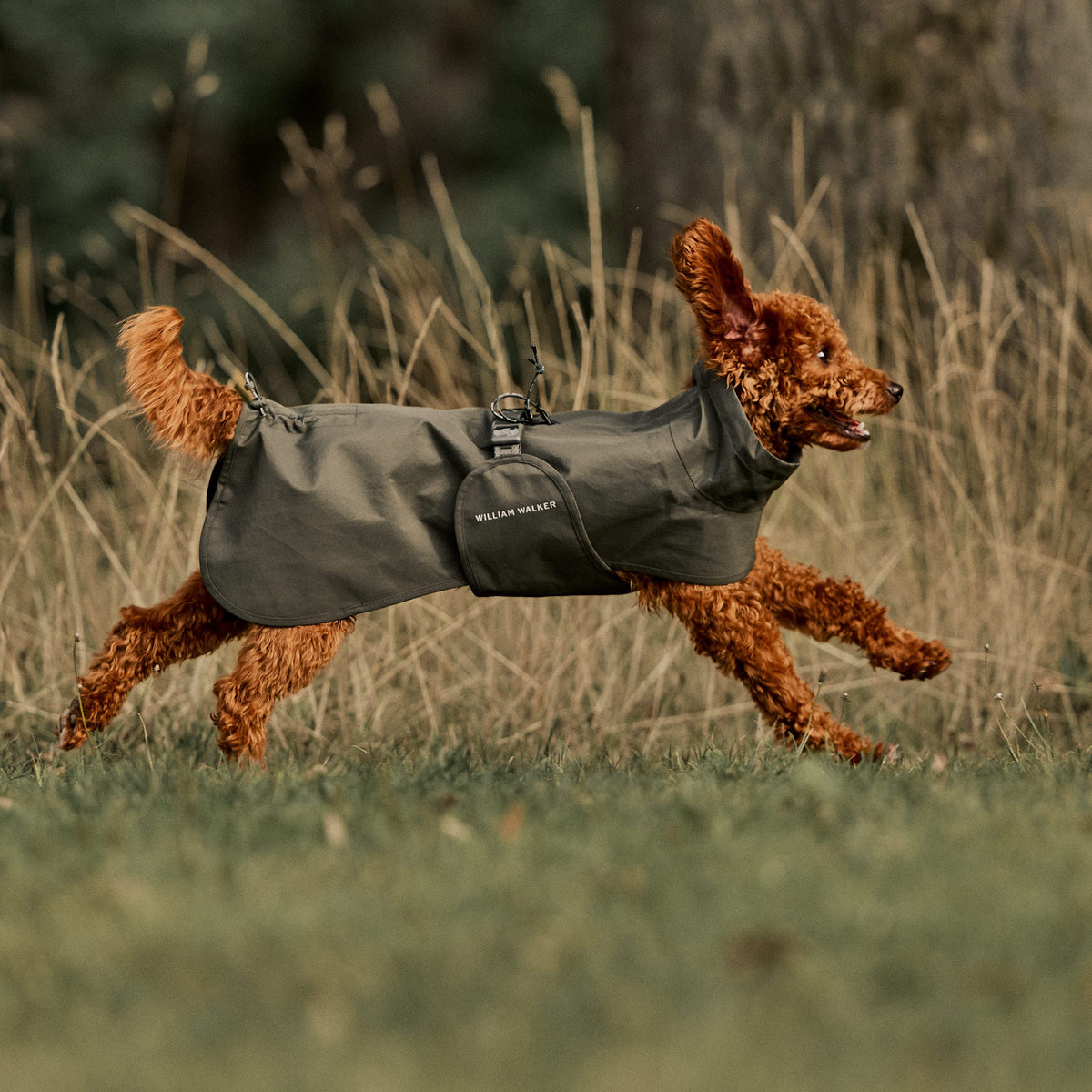 William Walker Imperméable pour chien Harbour