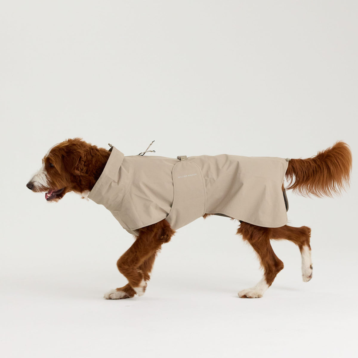 William Walker Imperméable pour chien Harbour