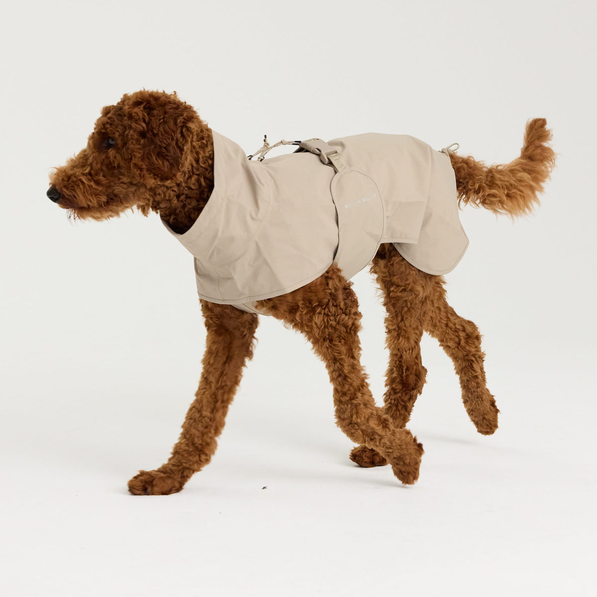 William Walker Imperméable pour chien Harbour