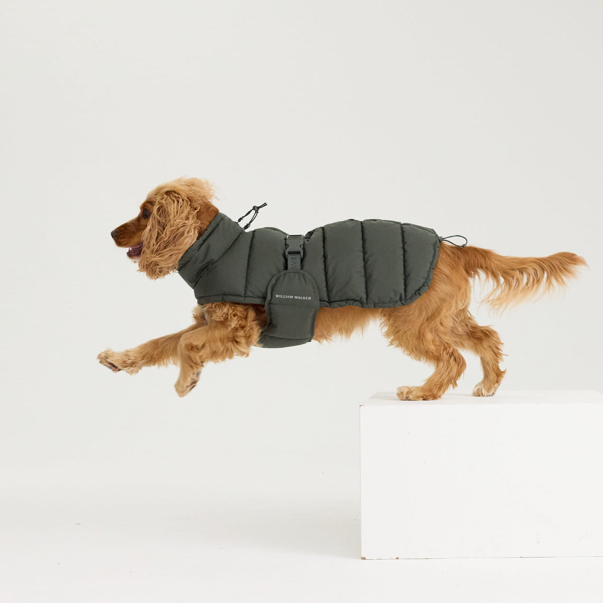William Walker Warm winter dog coat Alpine