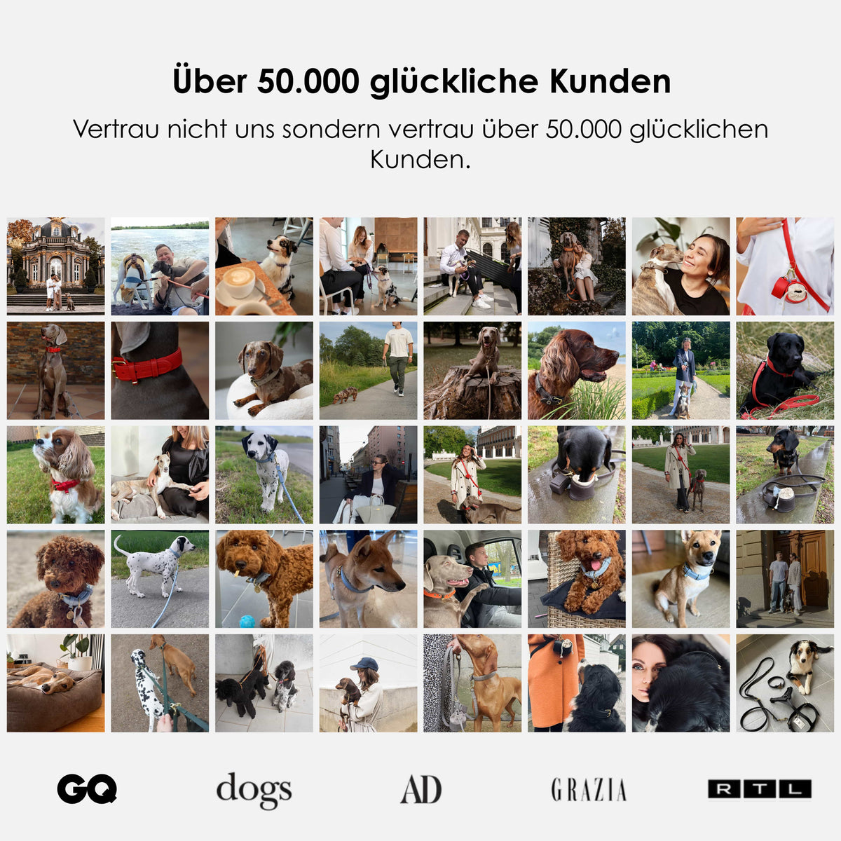 William Walker Hundeleine aus wasserfestem Nubukleder stufenlos verstellbar Handsfree