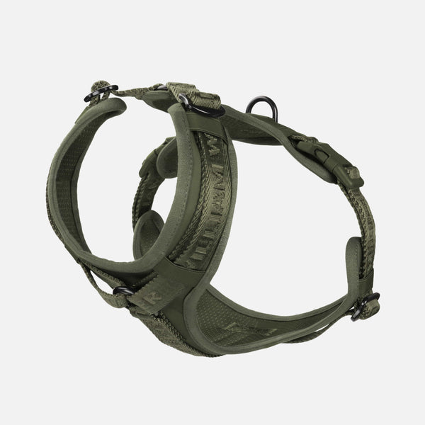 Harnais en Y pour chien haut de gamme Forest (vert)