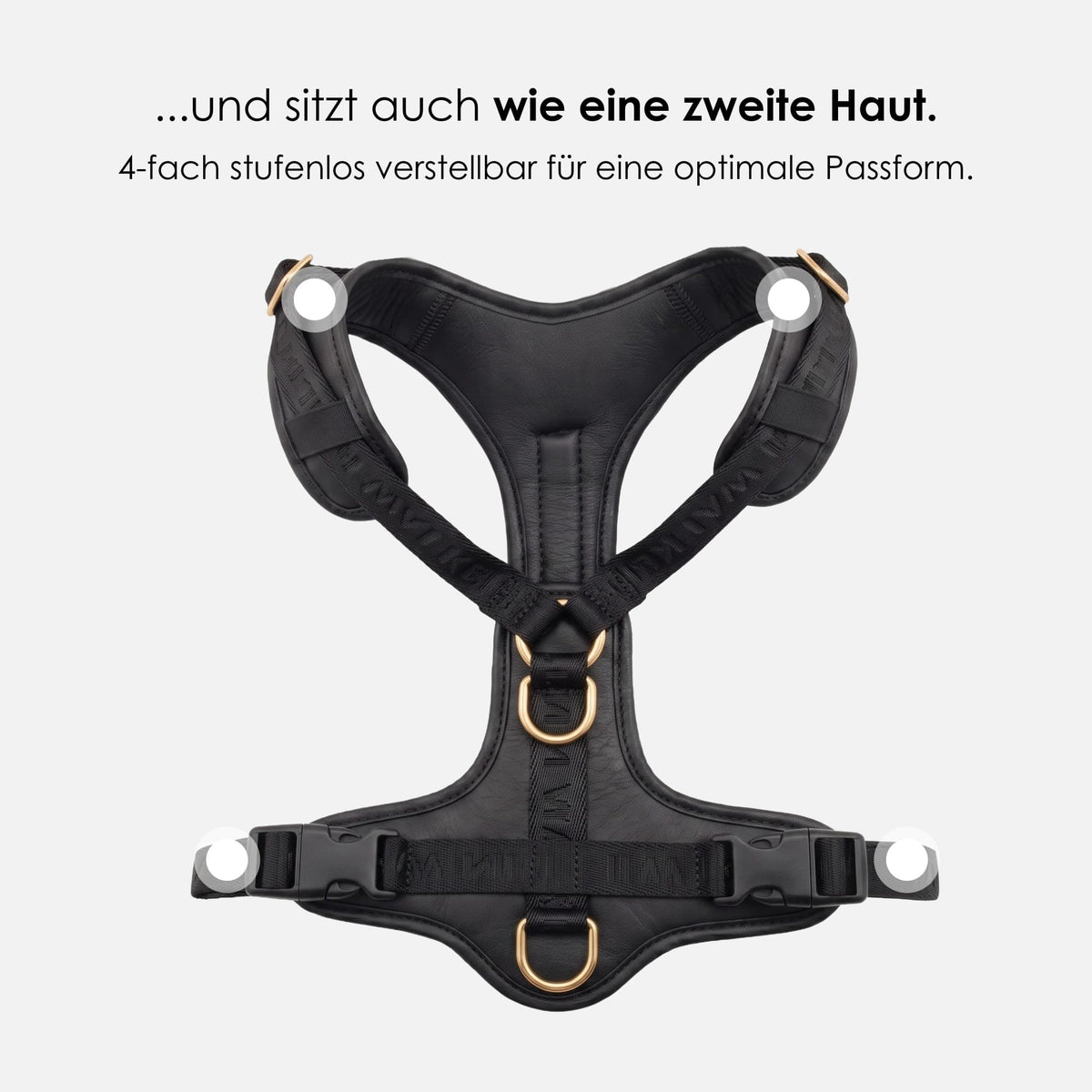 William Walker Premium Leather Y-Harness Plain