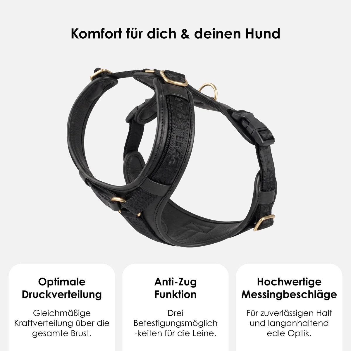 William Walker Premium Leather Y-Harness Plain
