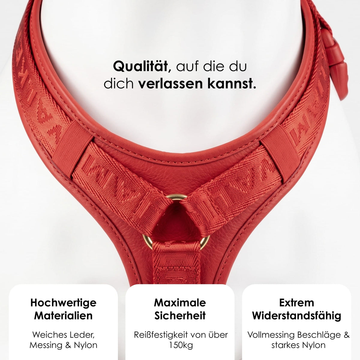 William Walker Premium Leather Y-Harness Plain