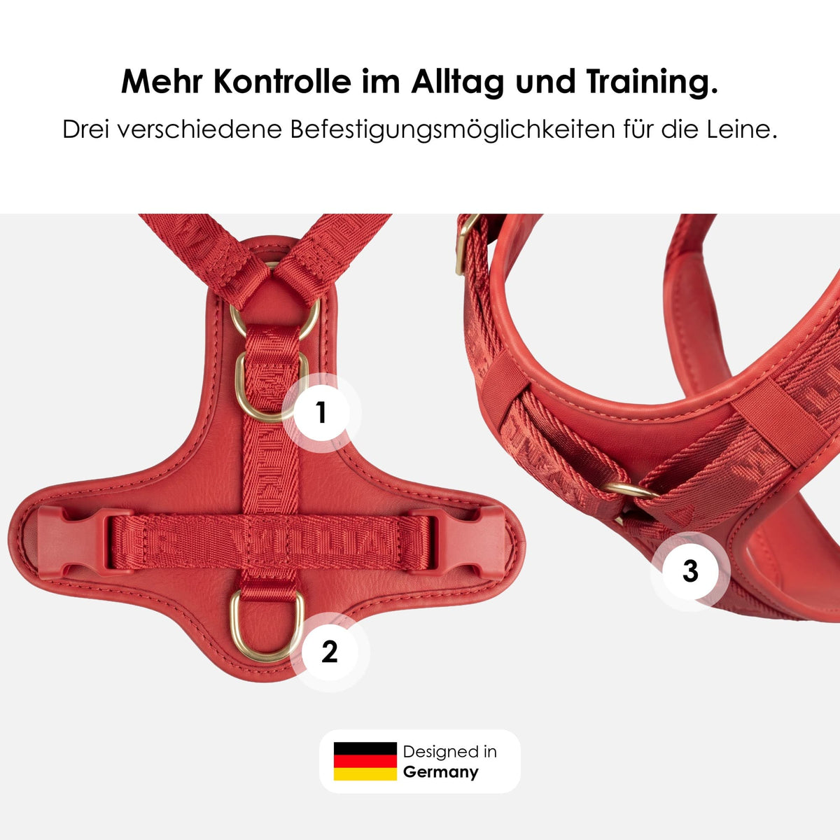 William Walker Premium Leather Y-Harness Plain