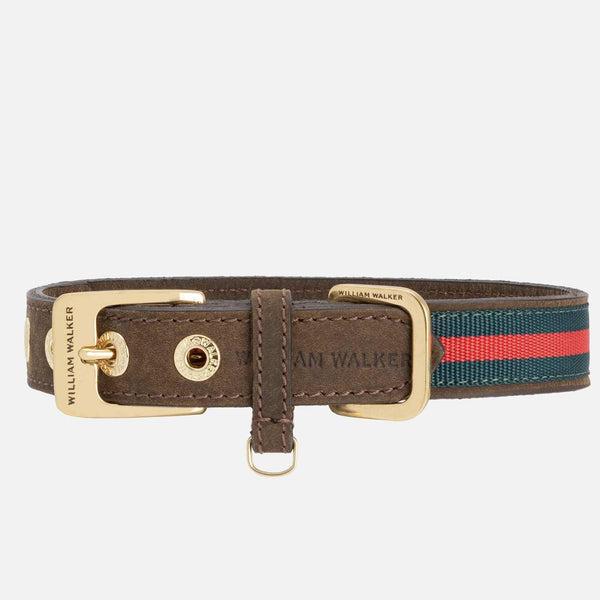 Collier pour chien en cuir Florence // Limited