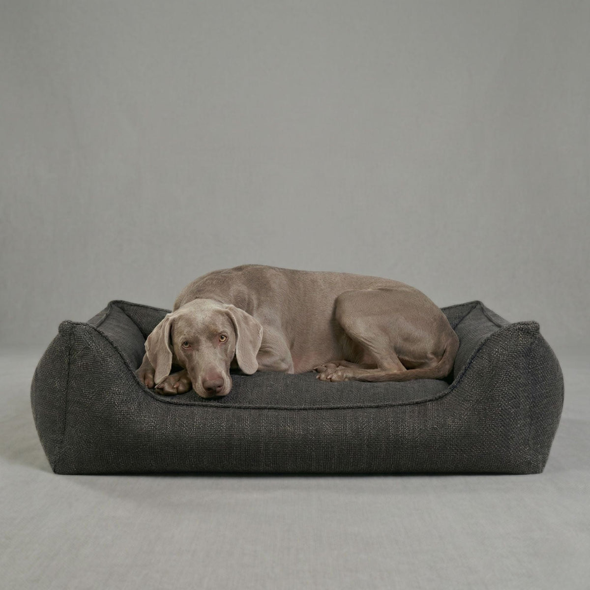 William Walker Orthopedic Dog Bed Luxe Midnight / S / Kissen (Flocken)
