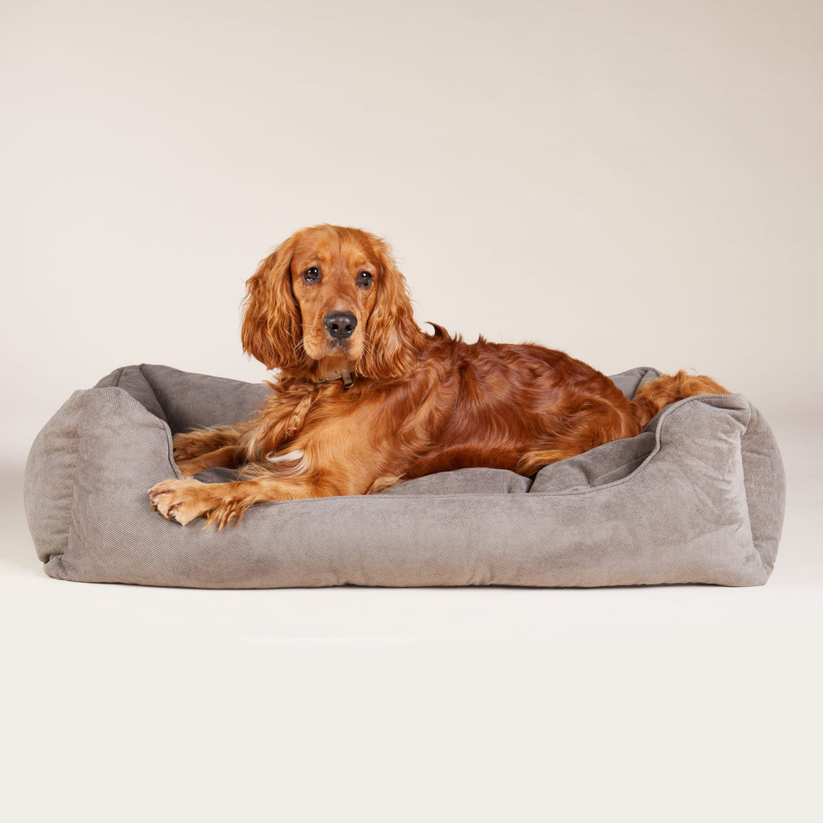 William Walker Panier orthopédique pour chien gris