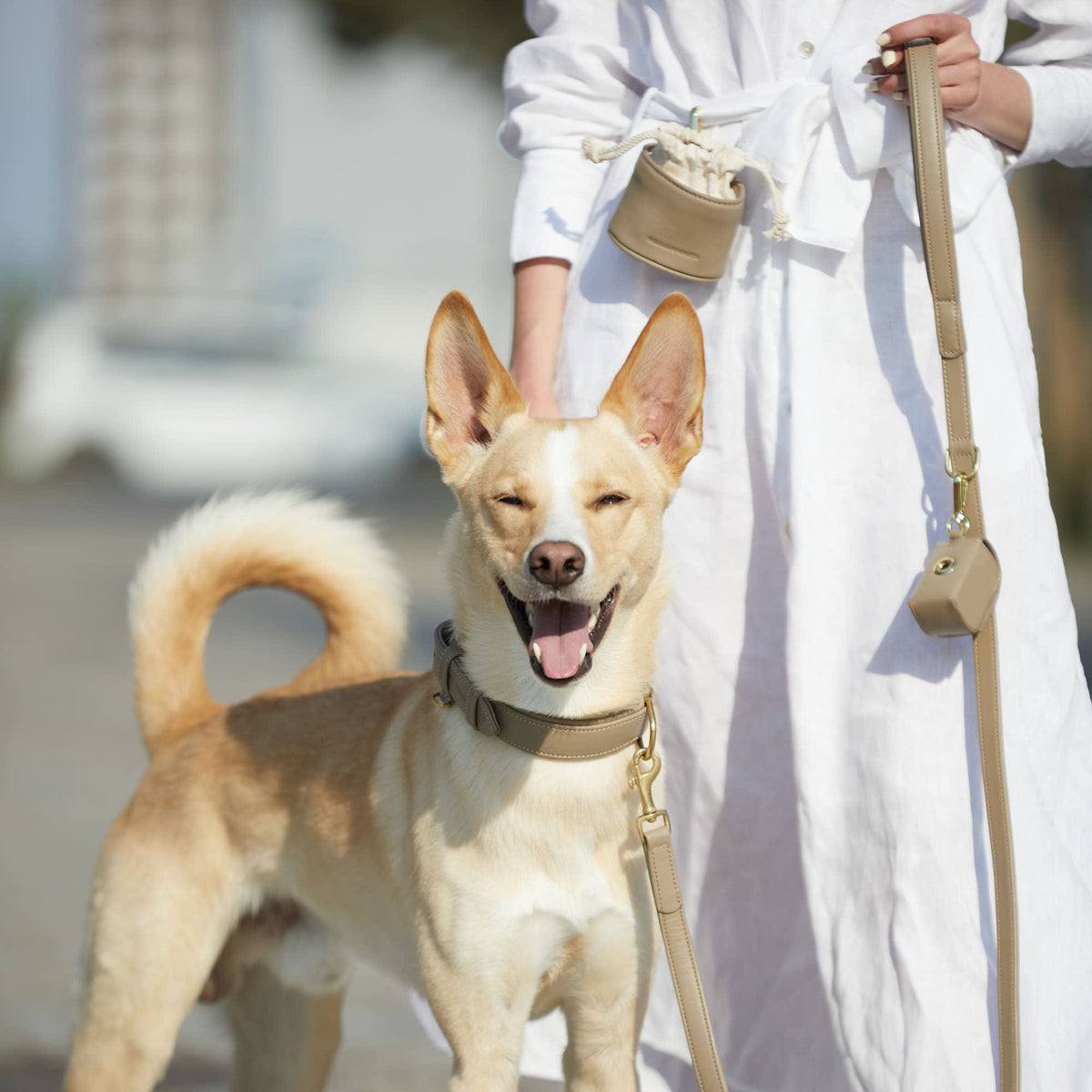 William Walker Dog leash Sand