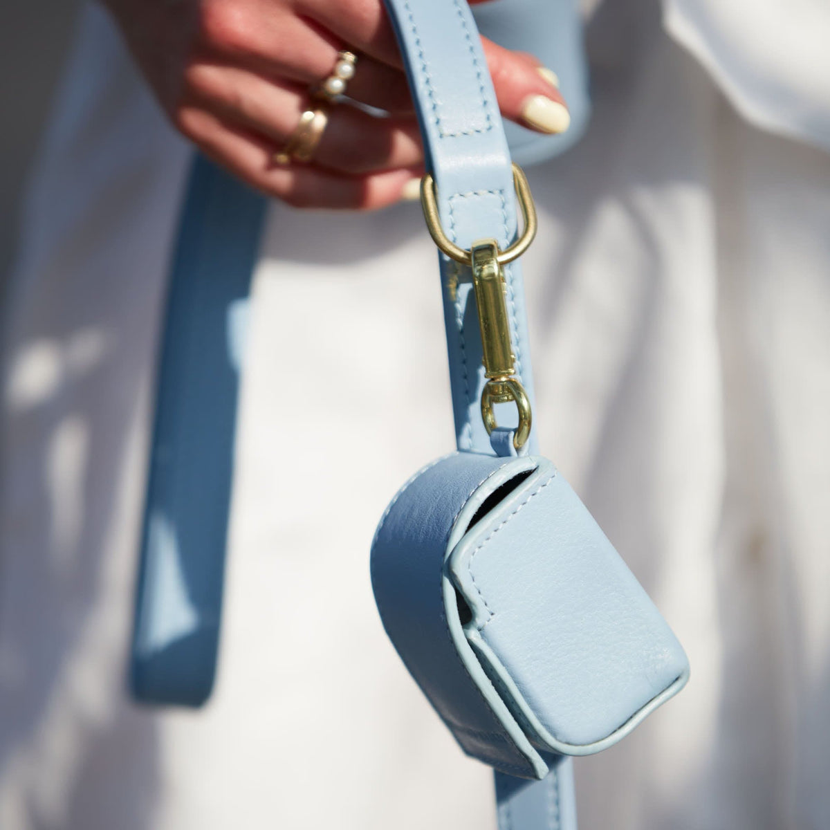 William Walker Dog leash Sky