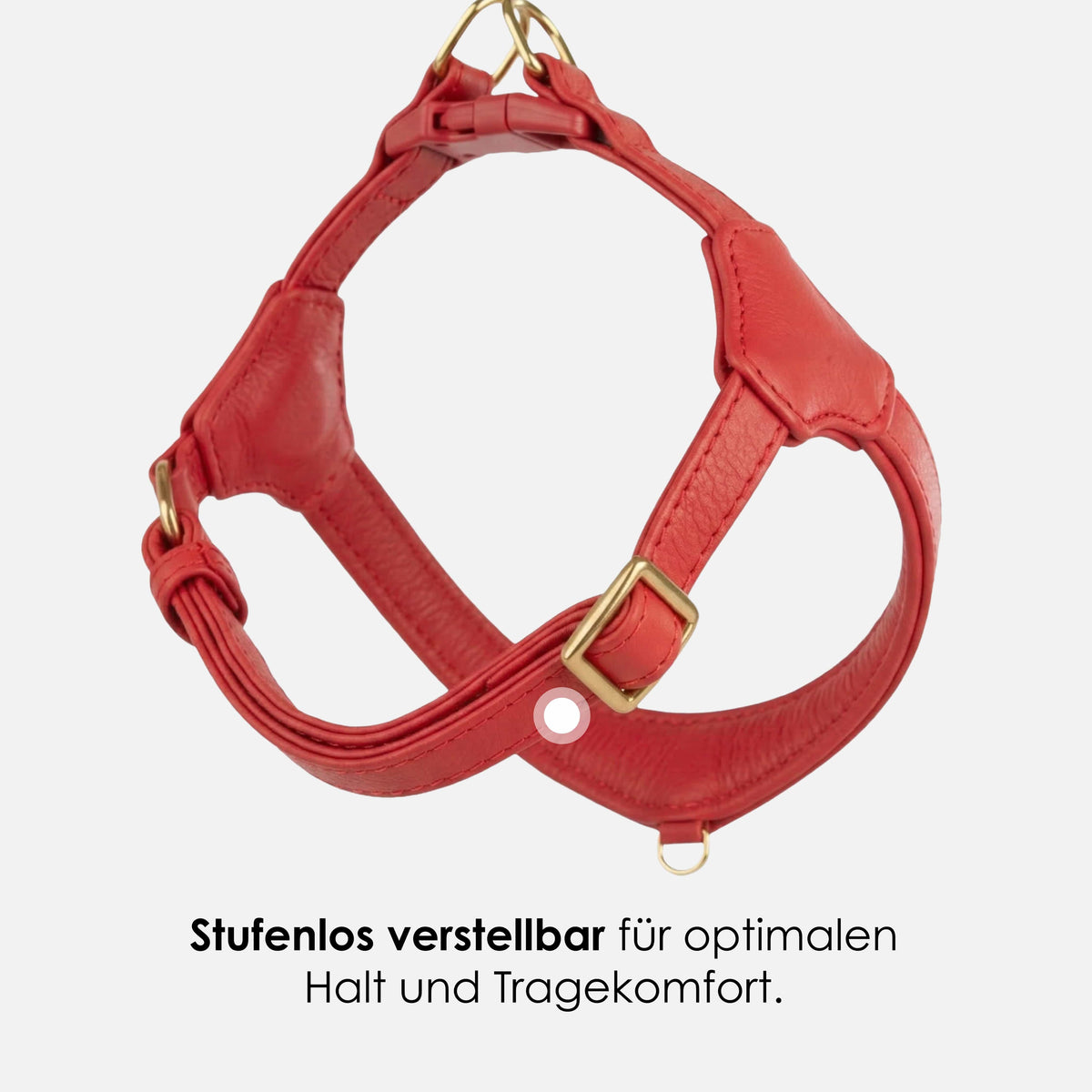 William Walker Step-In Leder Geschirr Pico für kleine Hunde Chili (rot) / 1