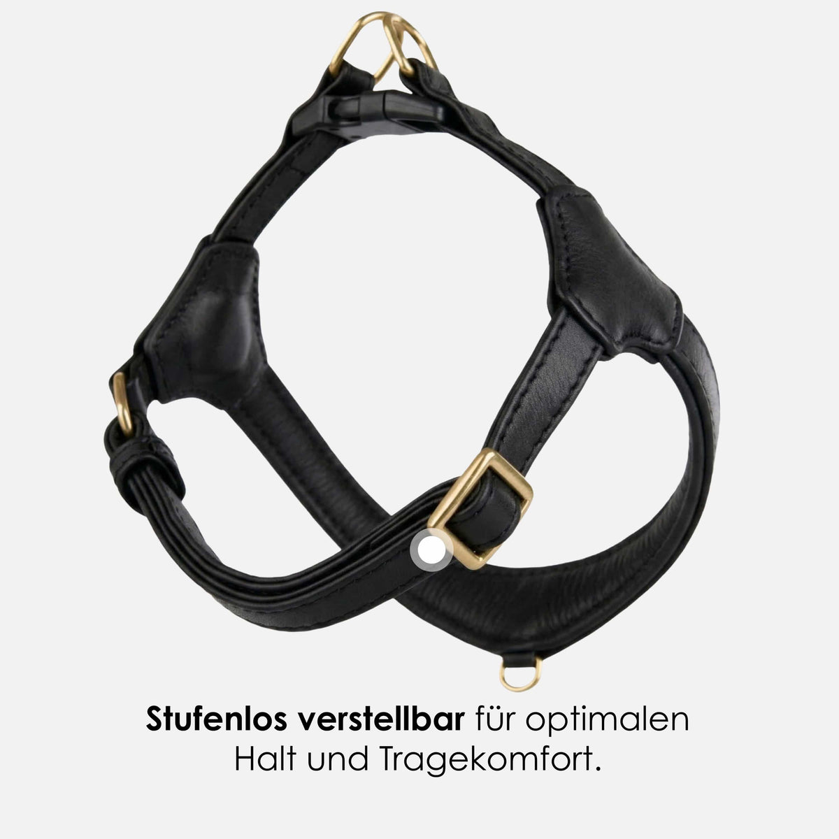 William Walker Step-In Leder Geschirr Pico für kleine Hunde Noir (schwarz) / 1
