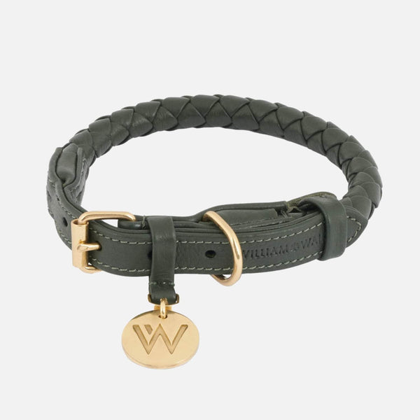 Collier pour chien en cuir Twisted Dark Moss (vert forêt)