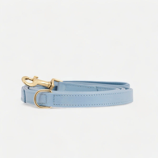 Laisse pour chien haut de gamme en cuir Sky (bleu bébé)