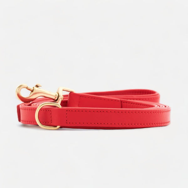 Laisse pour chien en cuir haut de gamme Chili (Rouge)