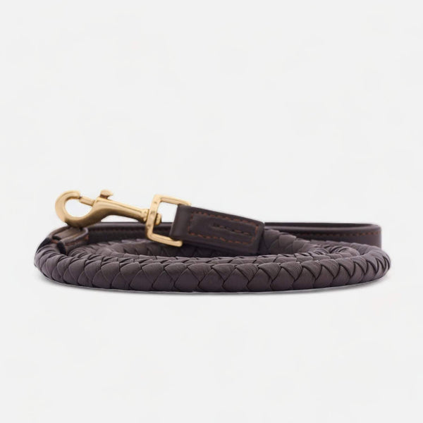 Laisse pour chien en cuir haut de gamme Twisted Earth (Marron)