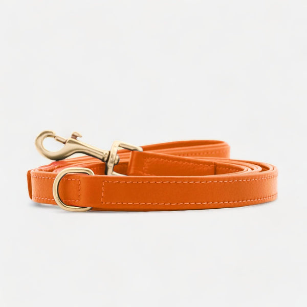 Laisse pour chien en cuir haut de gamme Amber (Orange)