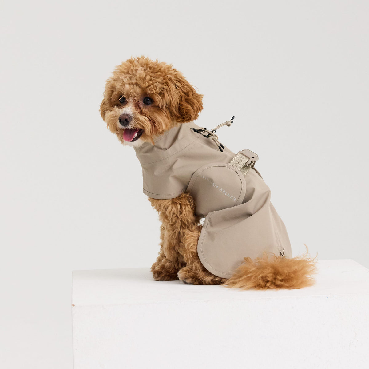 William Walker Imperméable pour chien Harbour