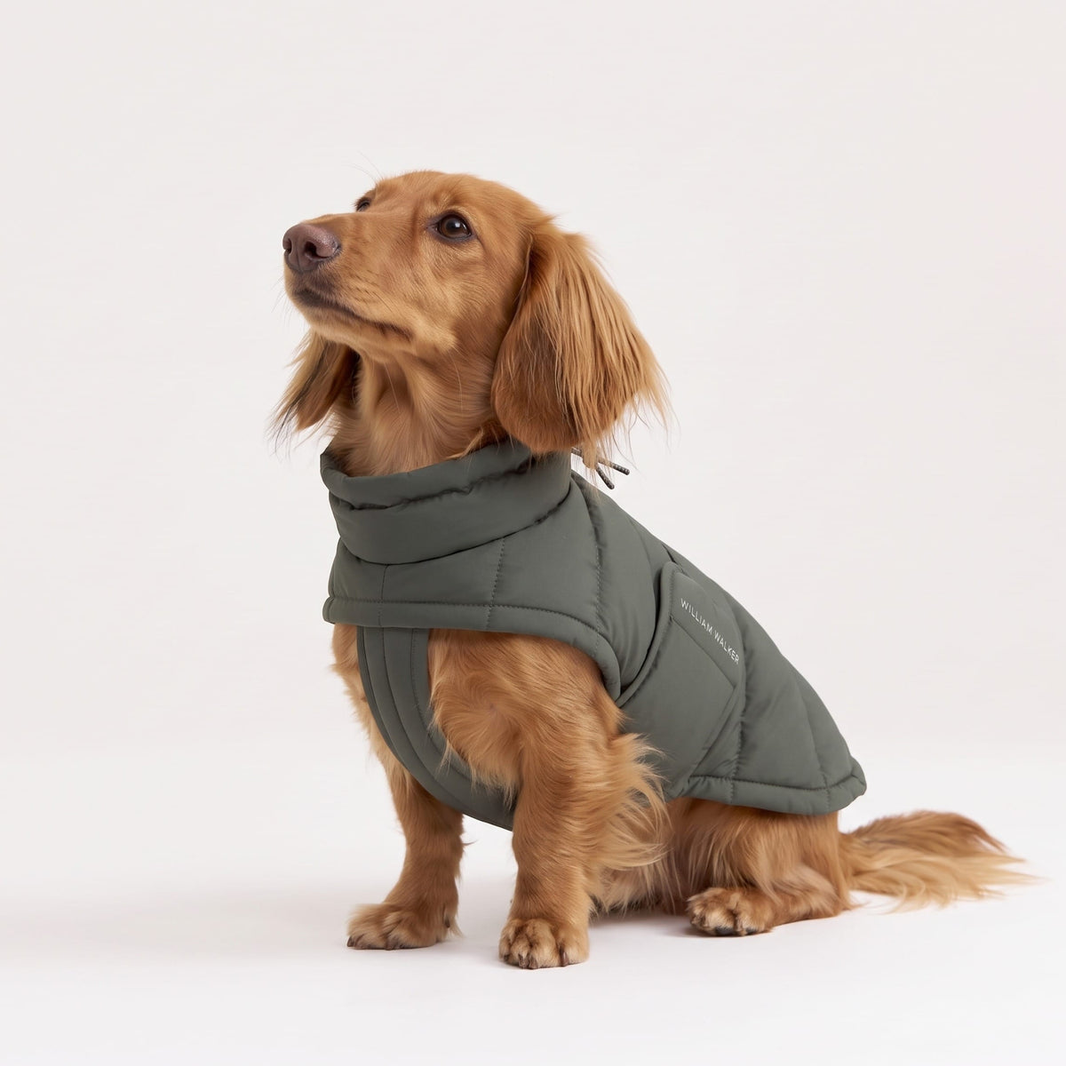 William Walker Manteau d'hiver pour chien Alpine pour teckels