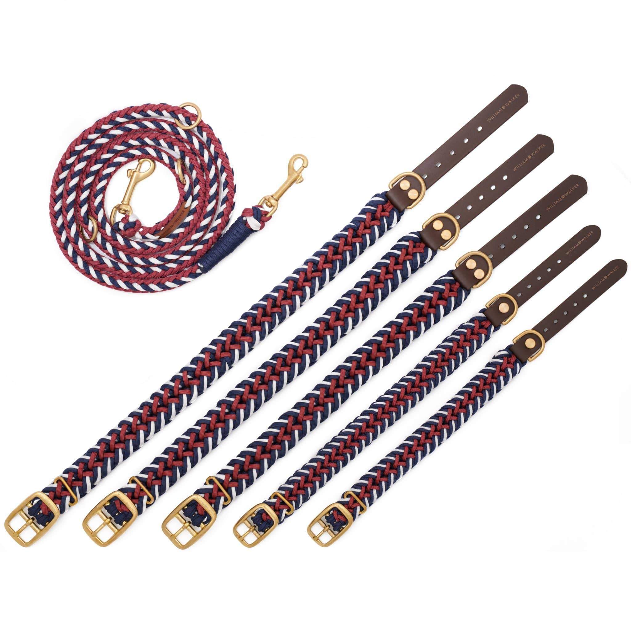 Paracord BioThane® dog collar Royal